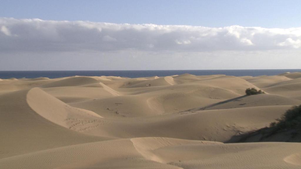 Club Torso Gay Men Only Maspalomas (Gran Canaria) Exterior foto